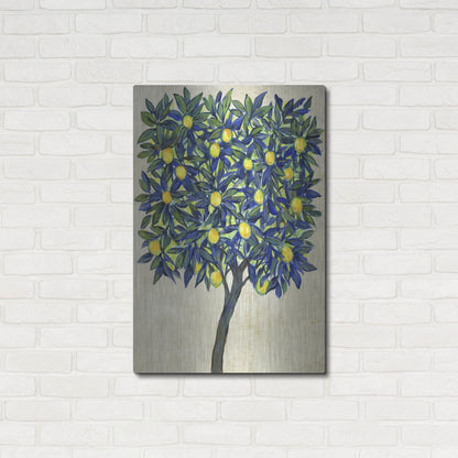Luxe Metal Art 'Lemon Tree Composition II' by Tim O'Toole, Metal Wall Art,24x36