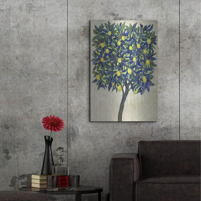 Luxe Metal Art 'Lemon Tree Composition II' by Tim O'Toole, Metal Wall Art,24x36