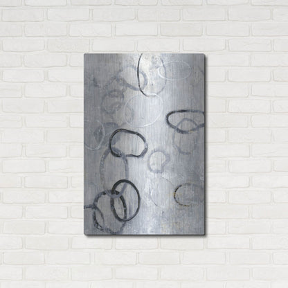 Luxe Metal Art 'Missing Links II' by Tim O'Toole, Metal Wall Art,24x36