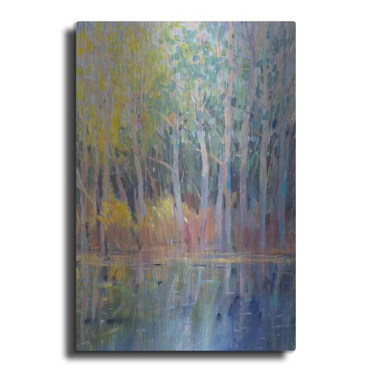 Luxe Metal Art 'Reflected Trees I' by Tim O'Toole, Metal Wall Art