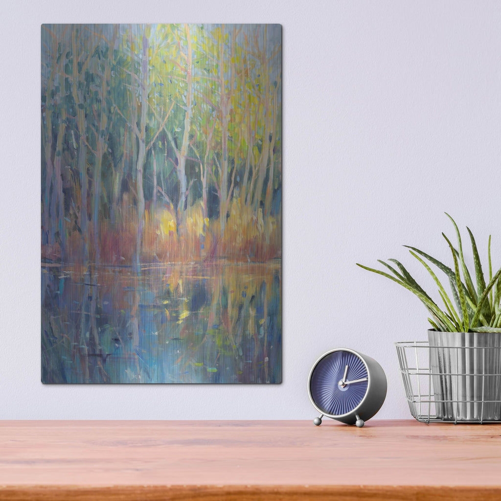 Luxe Metal Art 'Reflected Trees II' by Tim O'Toole, Metal Wall Art,12x16