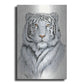 Luxe Metal Art 'White Tiger I' by Tim O'Toole, Metal Wall Art