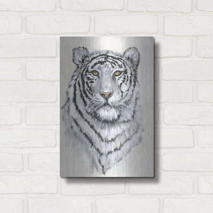 Luxe Metal Art 'White Tiger II' by Tim O'Toole, Metal Wall Art,12x16