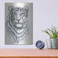 Luxe Metal Art 'White Tiger II' by Tim O'Toole, Metal Wall Art,12x16