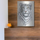 Luxe Metal Art 'White Tiger II' by Tim O'Toole, Metal Wall Art,12x16