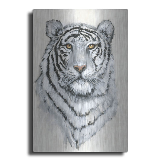 Luxe Metal Art 'White Tiger II' by Tim O'Toole, Metal Wall Art