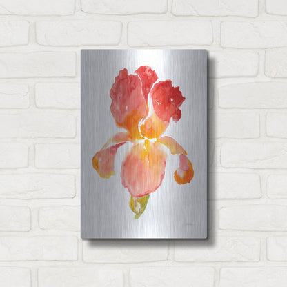 Luxe Metal Art 'Sunset Blooms I' by Tim O'Toole, Metal Wall Art,12x16