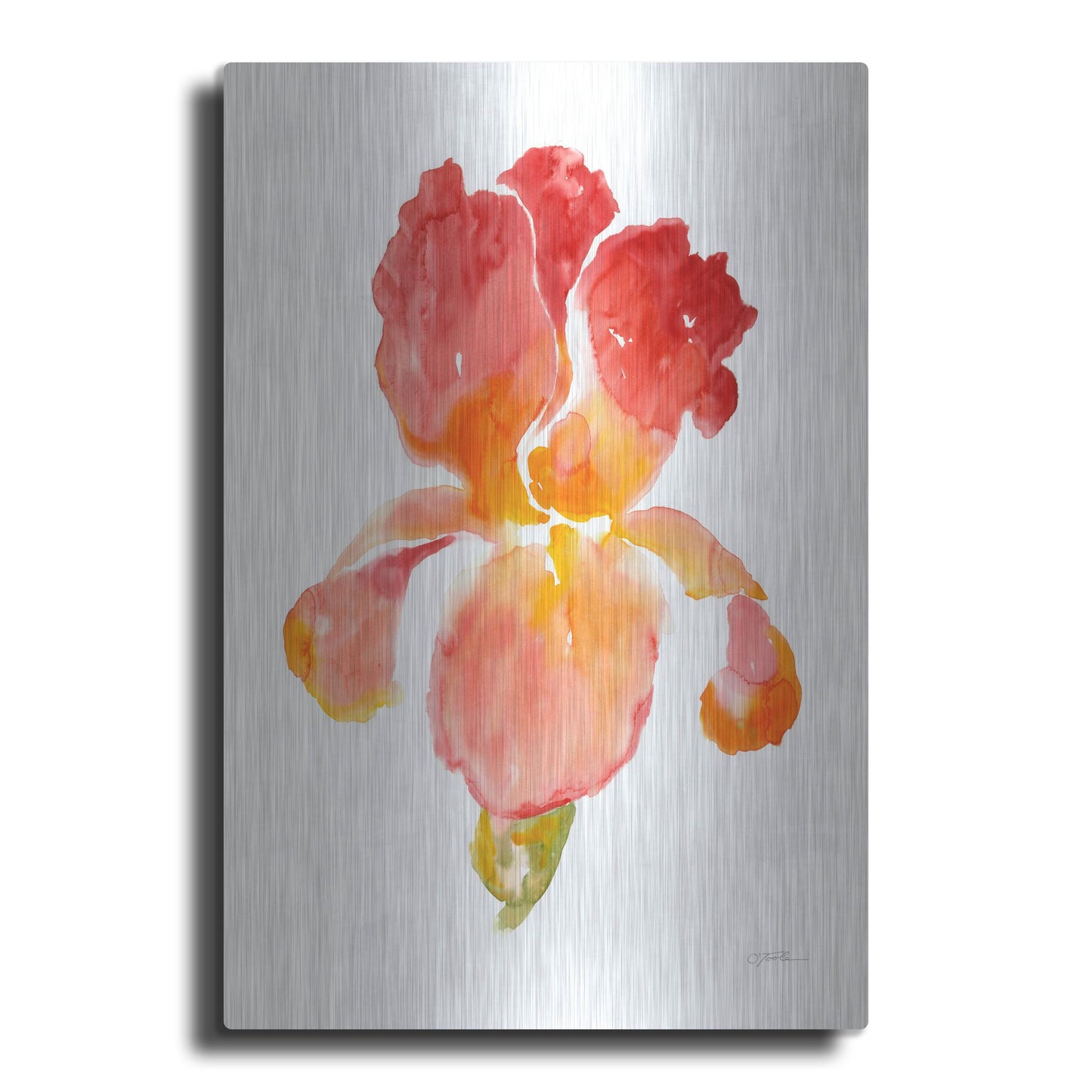 Luxe Metal Art 'Sunset Blooms I' by Tim O'Toole, Metal Wall Art