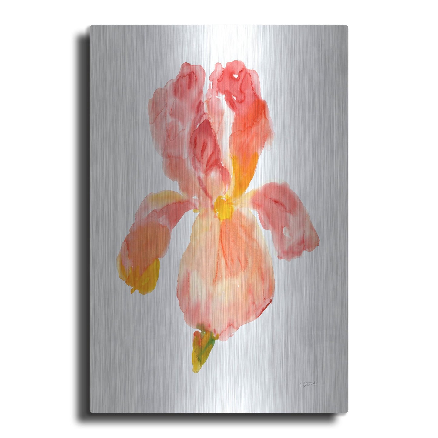 Luxe Metal Art 'Sunset Blooms II' by Tim O'Toole, Metal Wall Art