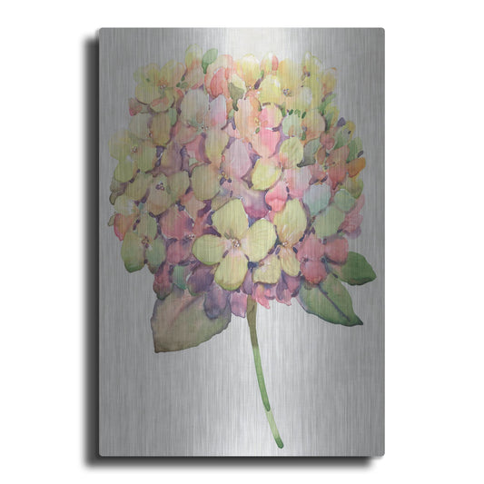 Luxe Metal Art 'Multicolor Floral II' by Tim O'Toole, Metal Wall Art