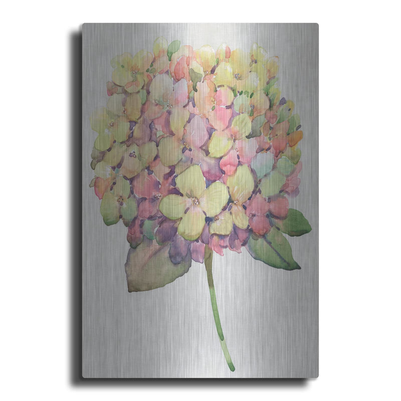 'Multicolor Floral II' by Tim O'Toole – Metal Wall Art