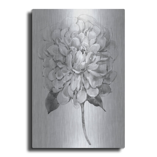 Luxe Metal Art 'Silvertone Floral I' by Tim O'Toole, Metal Wall Art