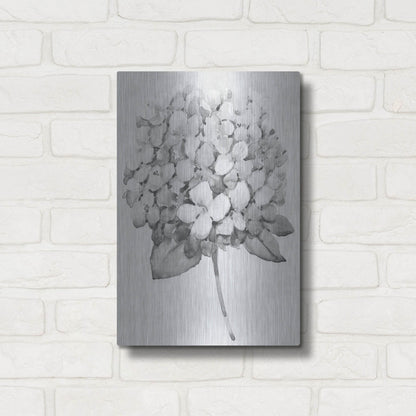 Luxe Metal Art 'Silvertone Floral II' by Tim O'Toole, Metal Wall Art,12x16