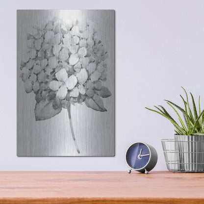 Luxe Metal Art 'Silvertone Floral II' by Tim O'Toole, Metal Wall Art,12x16