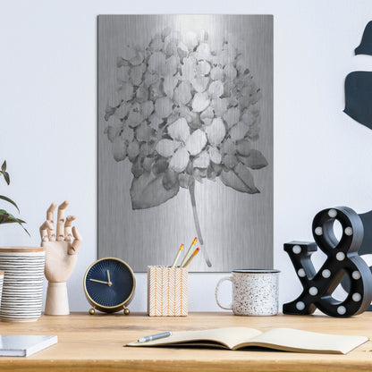 Luxe Metal Art 'Silvertone Floral II' by Tim O'Toole, Metal Wall Art,12x16