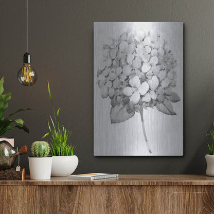 Luxe Metal Art 'Silvertone Floral II' by Tim O'Toole, Metal Wall Art,12x16