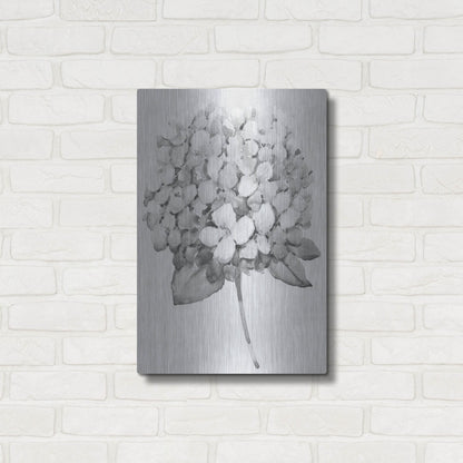 Luxe Metal Art 'Silvertone Floral II' by Tim O'Toole, Metal Wall Art,16x24