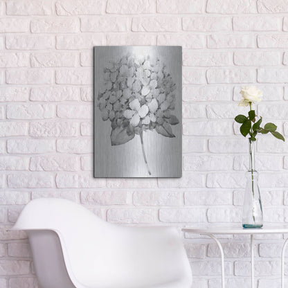 Luxe Metal Art 'Silvertone Floral II' by Tim O'Toole, Metal Wall Art,16x24