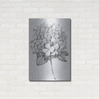 Luxe Metal Art 'Silvertone Floral II' by Tim O'Toole, Metal Wall Art,24x36