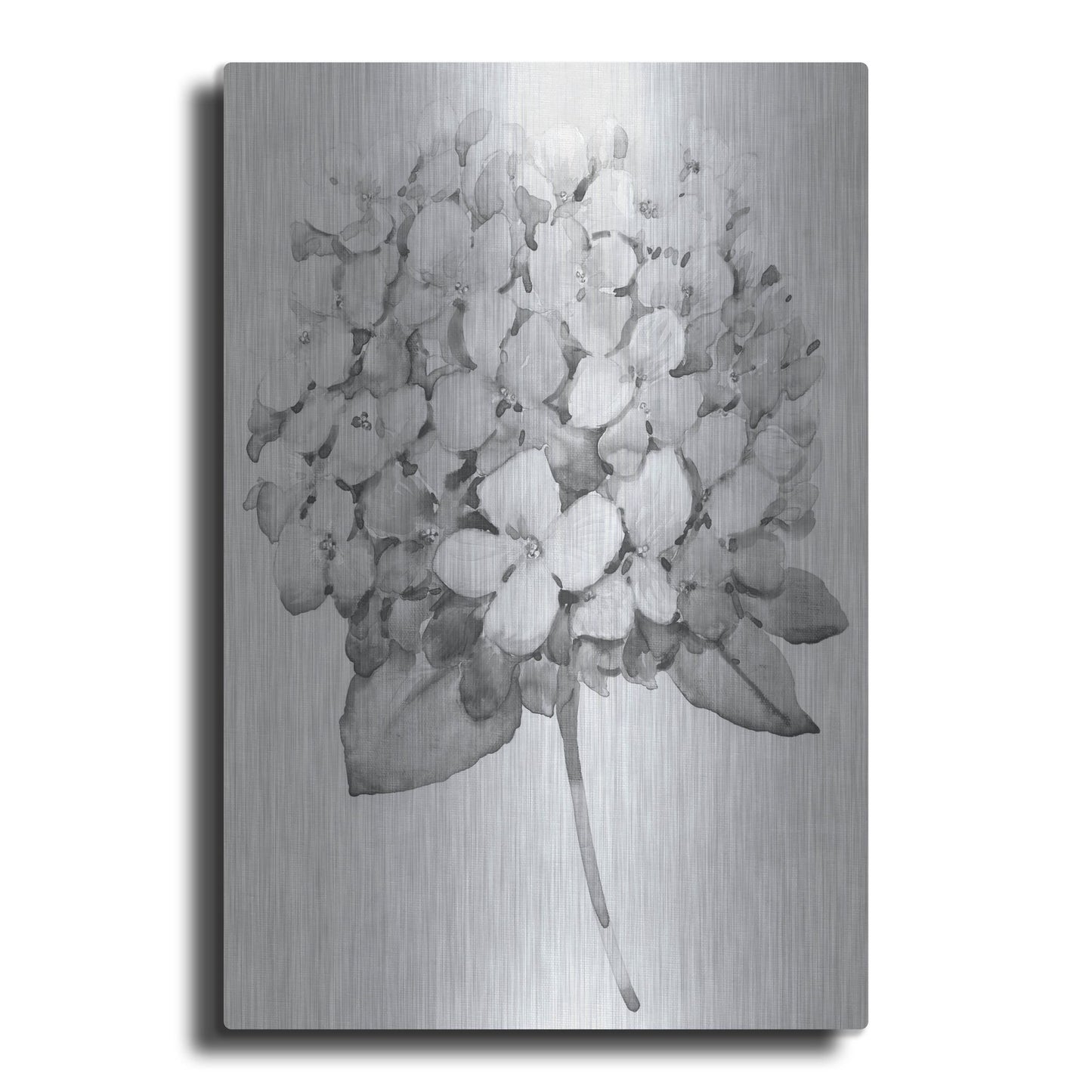 Luxe Metal Art 'Silvertone Floral II' by Tim O'Toole, Metal Wall Art