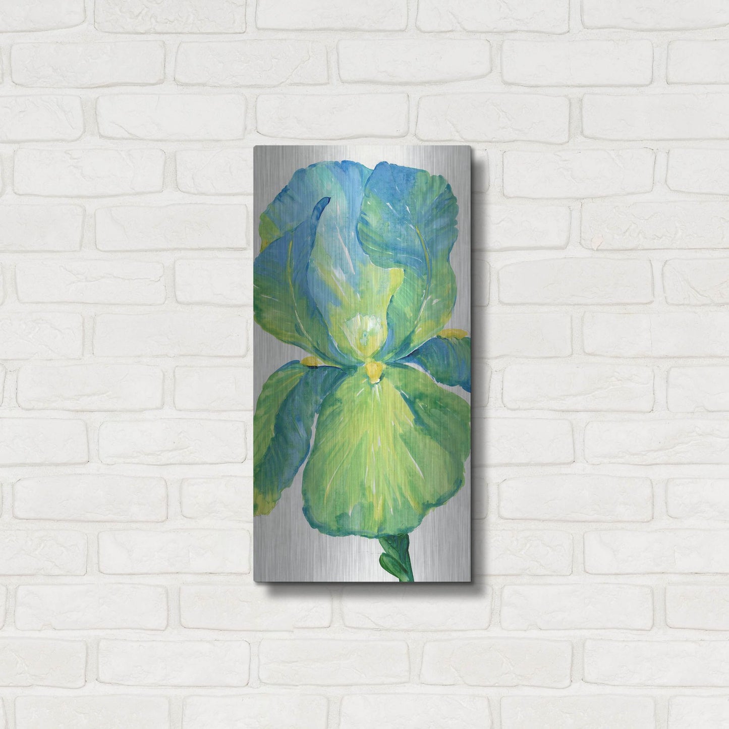 Luxe Metal Art 'Iris Bloom in Green I' by Tim O'Toole, Metal Wall Art,12x24