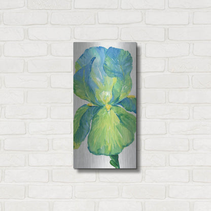 Luxe Metal Art 'Iris Bloom in Green I' by Tim O'Toole, Metal Wall Art,12x24