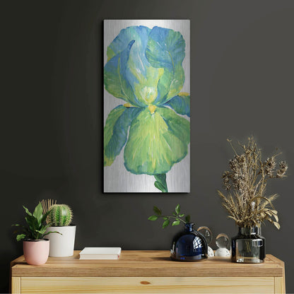Luxe Metal Art 'Iris Bloom in Green I' by Tim O'Toole, Metal Wall Art,12x24