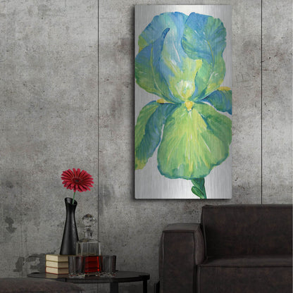Luxe Metal Art 'Iris Bloom in Green I' by Tim O'Toole, Metal Wall Art,24x48