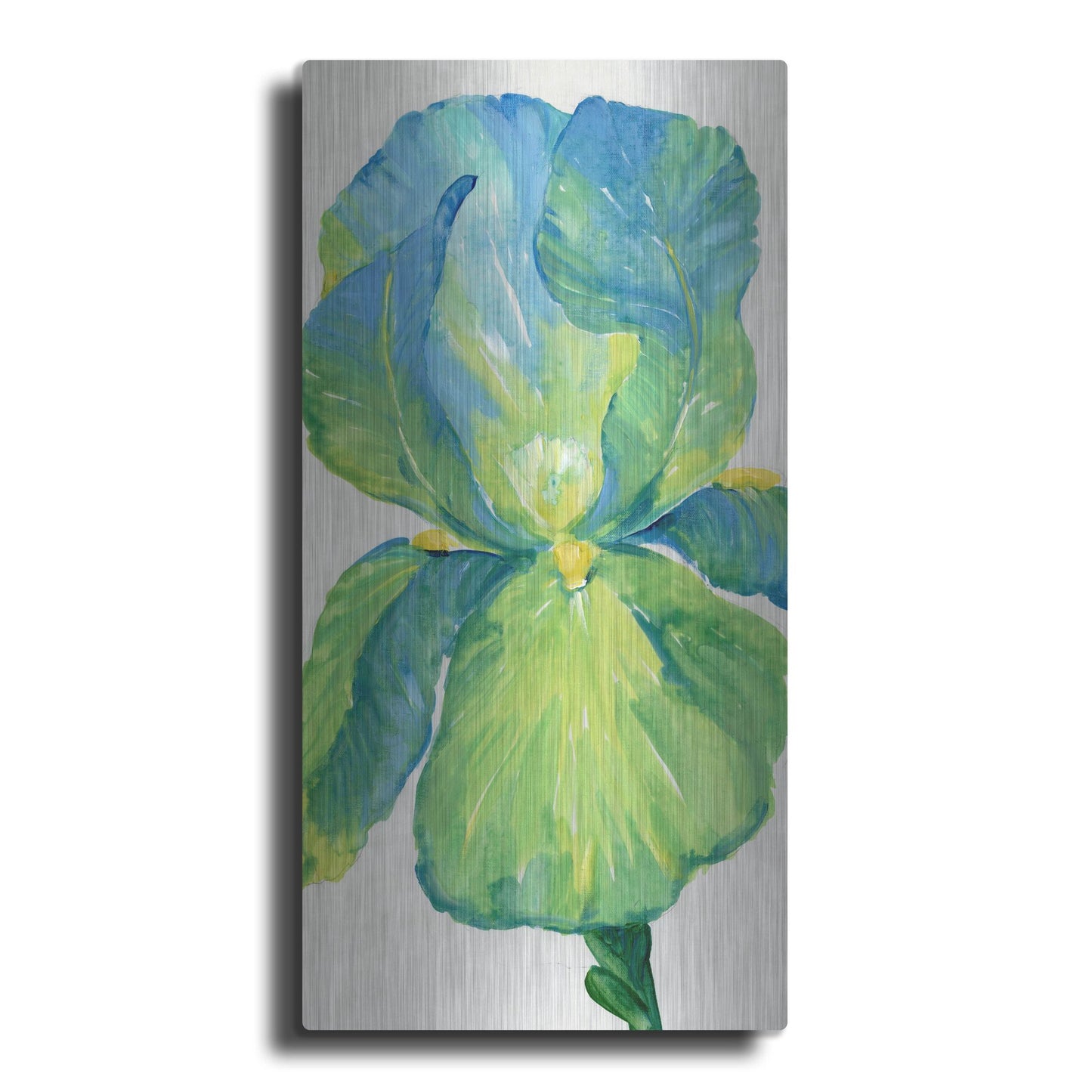Luxe Metal Art 'Iris Bloom in Green I' by Tim O'Toole, Metal Wall Art