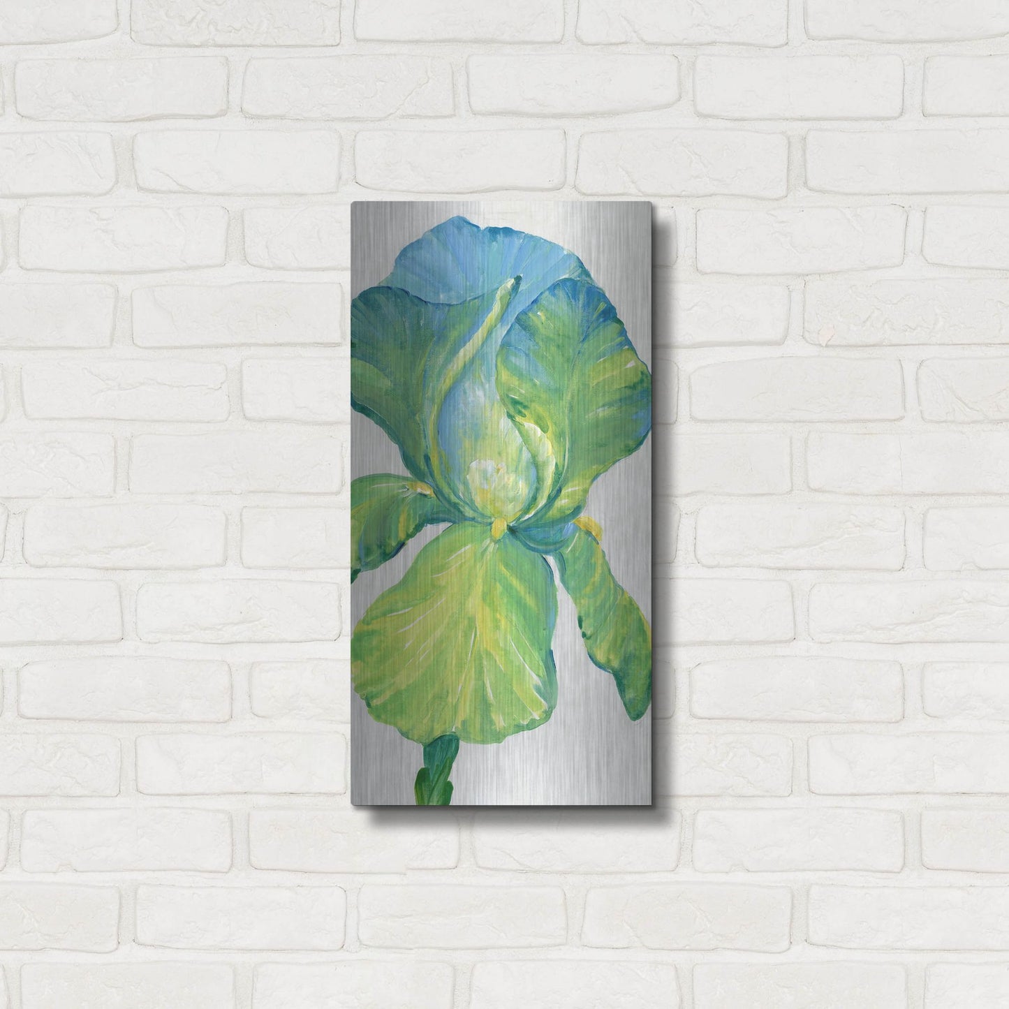 Luxe Metal Art 'Iris Bloom in Green II' by Tim O'Toole, Metal Wall Art,12x24