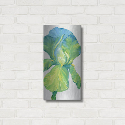 Luxe Metal Art 'Iris Bloom in Green II' by Tim O'Toole, Metal Wall Art,12x24