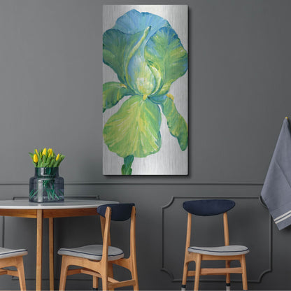 Luxe Metal Art 'Iris Bloom in Green II' by Tim O'Toole, Metal Wall Art,24x48