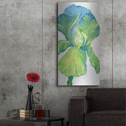 Luxe Metal Art 'Iris Bloom in Green II' by Tim O'Toole, Metal Wall Art,24x48