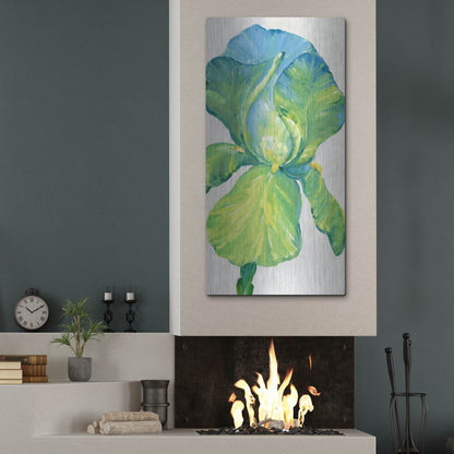 Luxe Metal Art 'Iris Bloom in Green II' by Tim O'Toole, Metal Wall Art,24x48