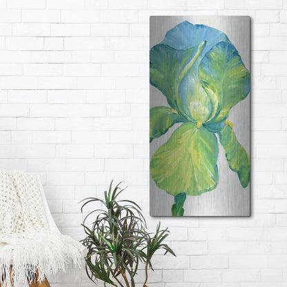 Luxe Metal Art 'Iris Bloom in Green II' by Tim O'Toole, Metal Wall Art,24x48