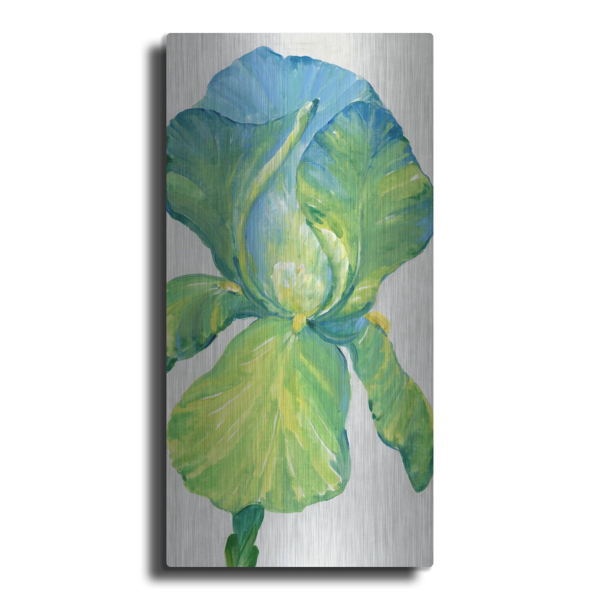 Luxe Metal Art 'Iris Bloom in Green II' by Tim O'Toole, Metal Wall Art