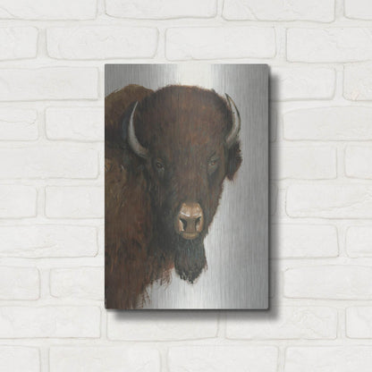 Luxe Metal Art 'Western Portrait II' by Tim O'Toole, Metal Wall Art,12x16
