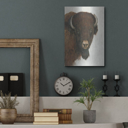 Luxe Metal Art 'Western Portrait II' by Tim O'Toole, Metal Wall Art,12x16