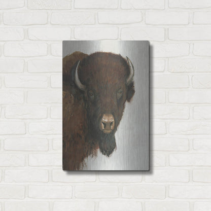 Luxe Metal Art 'Western Portrait II' by Tim O'Toole, Metal Wall Art,16x24