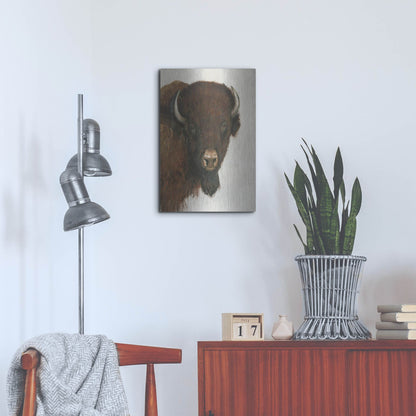 Luxe Metal Art 'Western Portrait II' by Tim O'Toole, Metal Wall Art,16x24