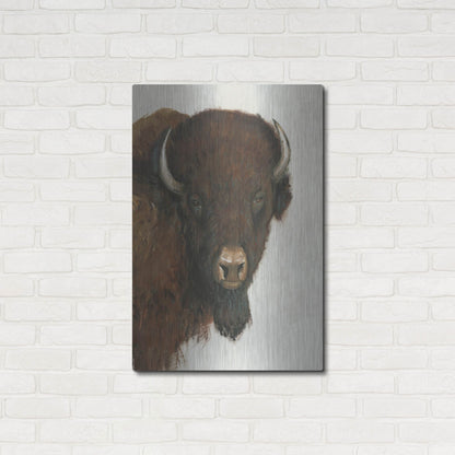Luxe Metal Art 'Western Portrait II' by Tim O'Toole, Metal Wall Art,24x36