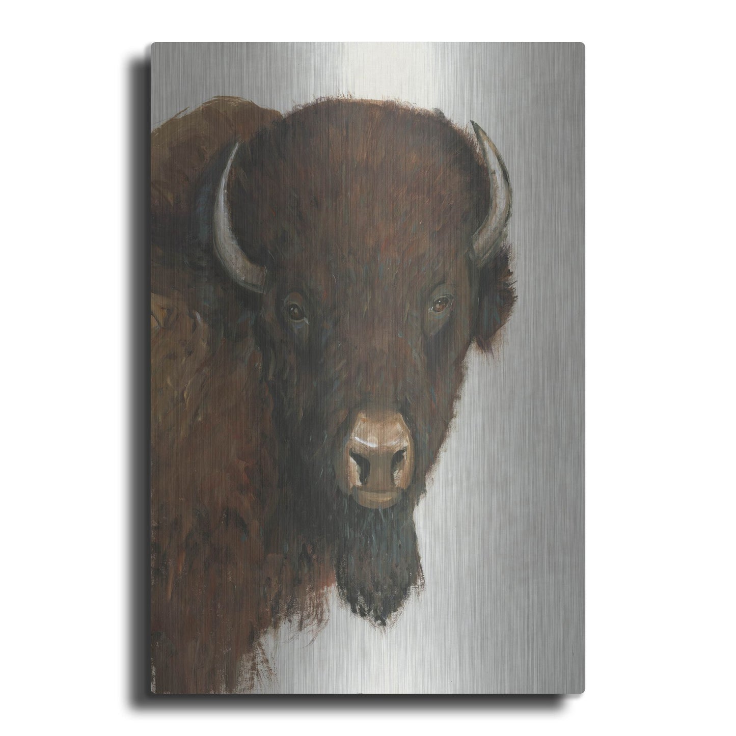 Luxe Metal Art 'Western Portrait II' by Tim O'Toole, Metal Wall Art