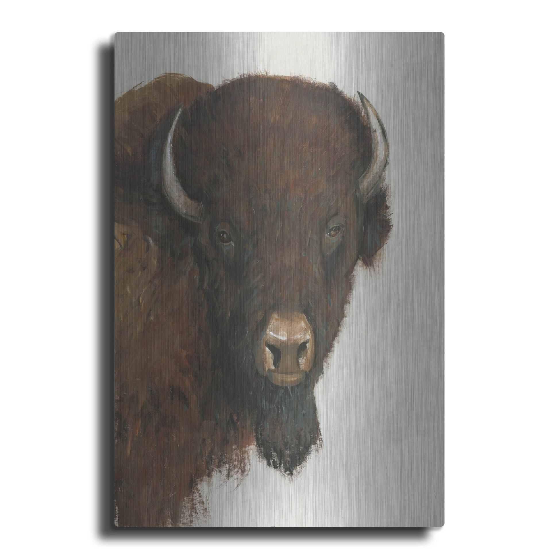 Luxe Metal Art 'Western Portrait II' by Tim O'Toole, Metal Wall Art