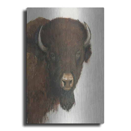 Luxe Metal Art 'Western Portrait II' by Tim O'Toole, Metal Wall Art