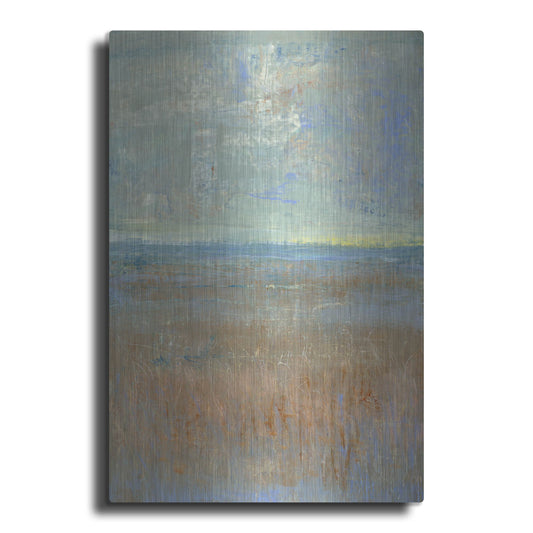 Luxe Metal Art 'Evening Marsh I' by Tim O'Toole, Metal Wall Art