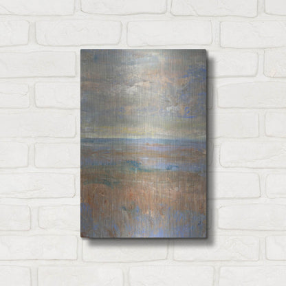 Luxe Metal Art 'Evening Marsh II' by Tim O'Toole, Metal Wall Art,12x16