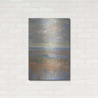 Luxe Metal Art 'Evening Marsh II' by Tim O'Toole, Metal Wall Art,24x36