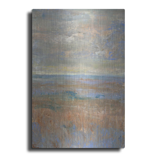 Luxe Metal Art 'Evening Marsh II' by Tim O'Toole, Metal Wall Art