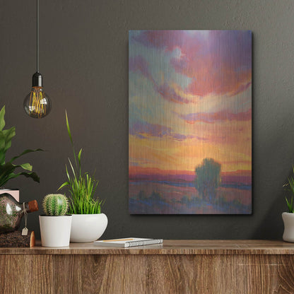 Luxe Metal Art 'Fire in the Sky I' by Tim O'Toole, Metal Wall Art,12x16