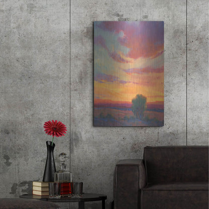 Luxe Metal Art 'Fire in the Sky I' by Tim O'Toole, Metal Wall Art,24x36
